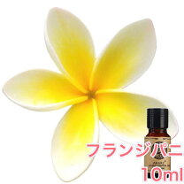 楽天市場】アロマオイル ホワイトフランジパニ 10ml 精油 エッセンシャルオイル