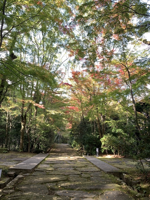 アマン京都 ４ 京都府 -