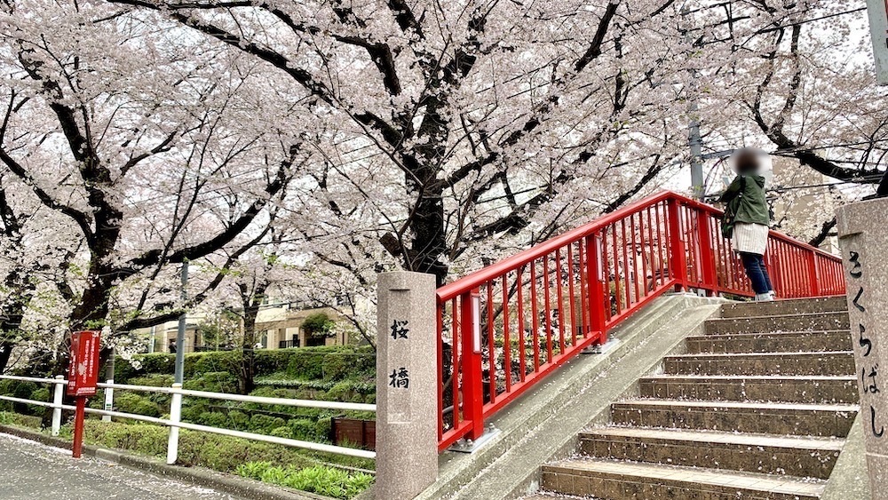 Tokyo 桜坂 マッサージ & エステティック