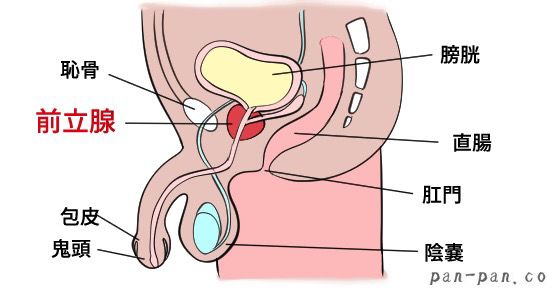 我慢するほど気持ちいい！寸止めオナニーを安全に楽しむやり方