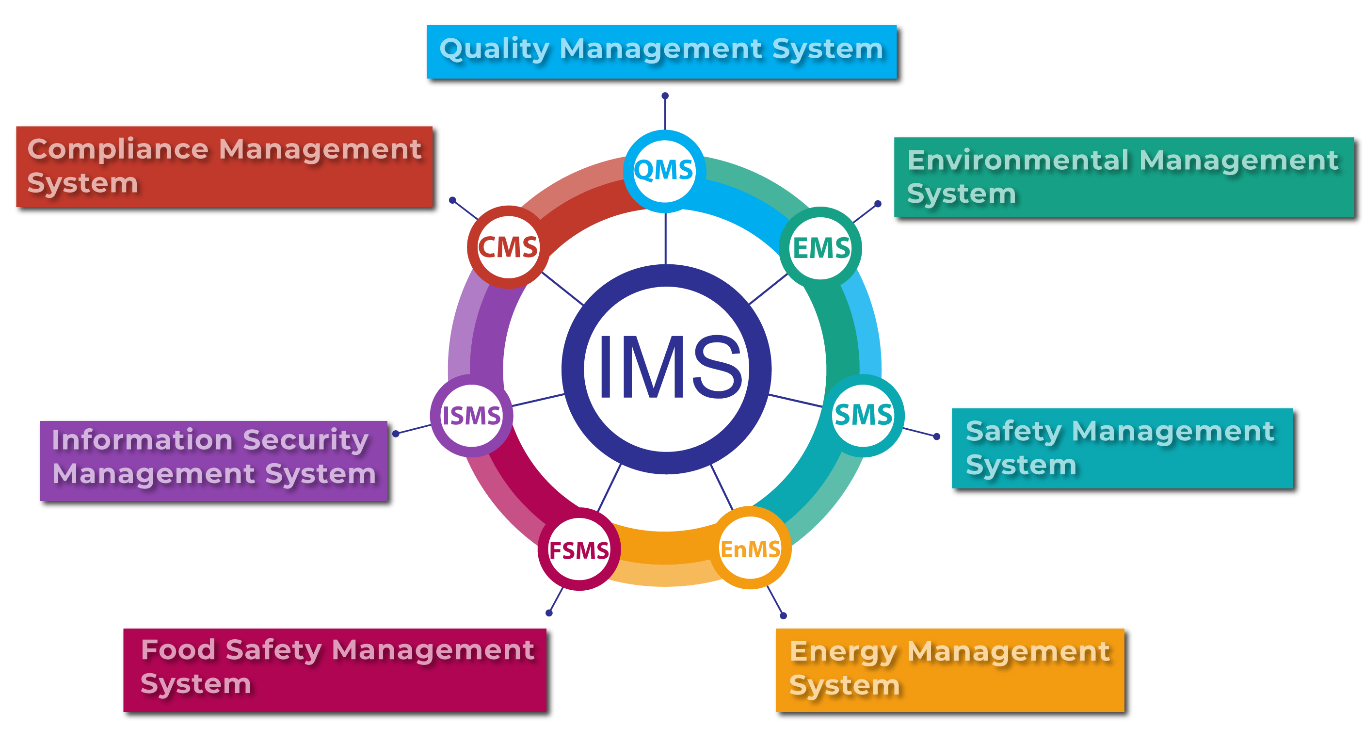 理化学研究所 生命医科学研究センター（IMS）