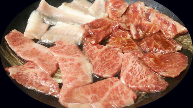 フレッシュホルモン かびら（大井町 焼肉）のグルメ情報