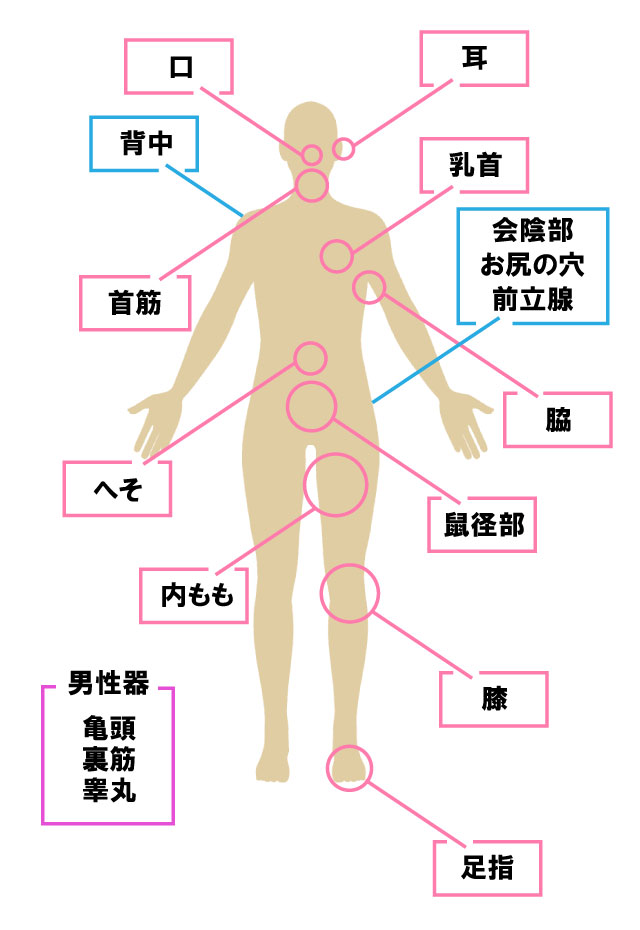 男の性感帯20選】彼をもっと感じさせる、愛撫のテクニックとは？ | VOLSTANISH