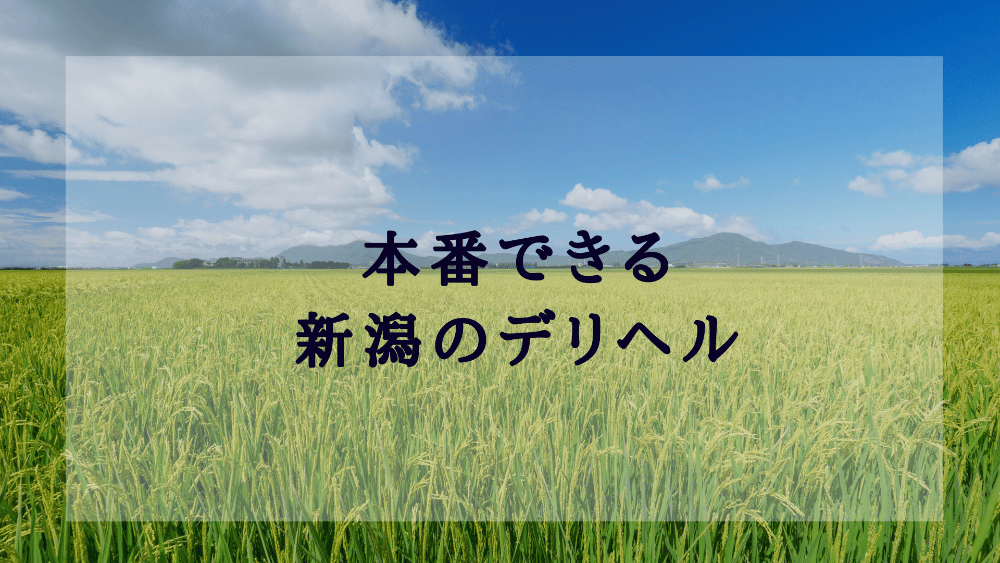 新潟ソープでNN/NSなら全力！！乙女坂46新潟店。口コミ評判,爆サイ2ch掲示板 | モテサーフィン