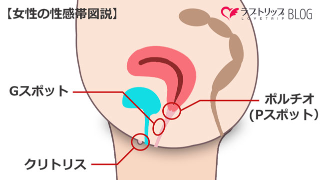 ポルチオ性感帯の開発方法を徹底解説！癖になる連続イキで女性を虜にしよう - メンズラボ