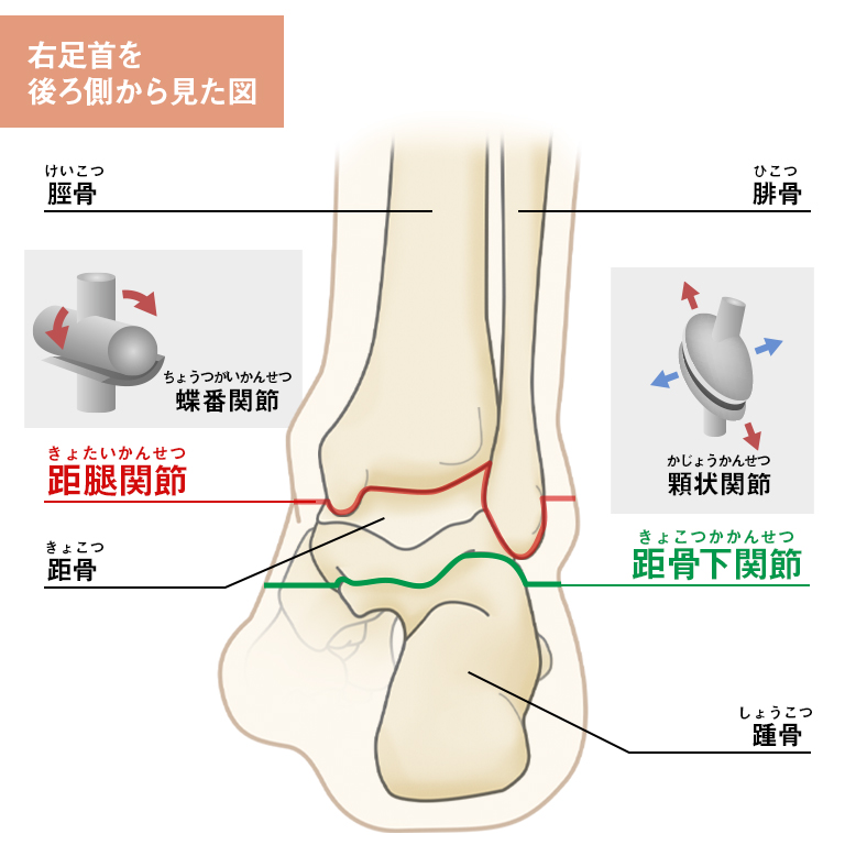 性交体位はどんな種類がある？体位を変えるメリットとは - 藤東クリニックお悩みコラム