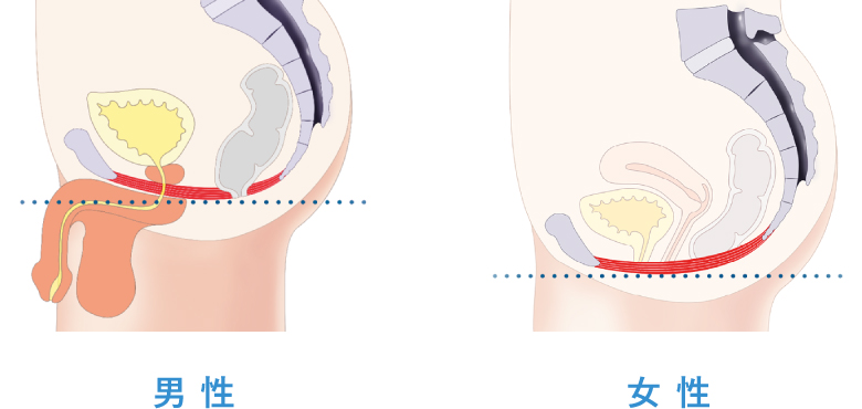 女性のオーガズムを徹底解説【女性のイキ方全6種類】｜KaikanNews