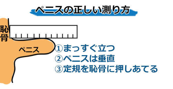 男性の過半数が「自分のモノは短い」と思っている « 女子SPA！