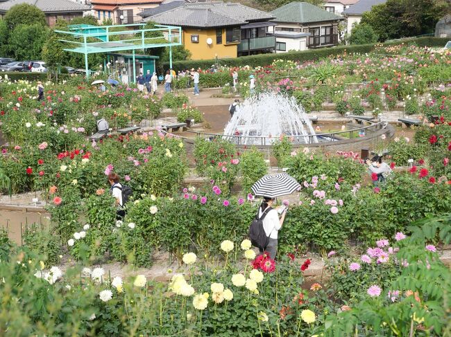 ホームズ】ヴィオレ南町田(町田市)の賃貸情報