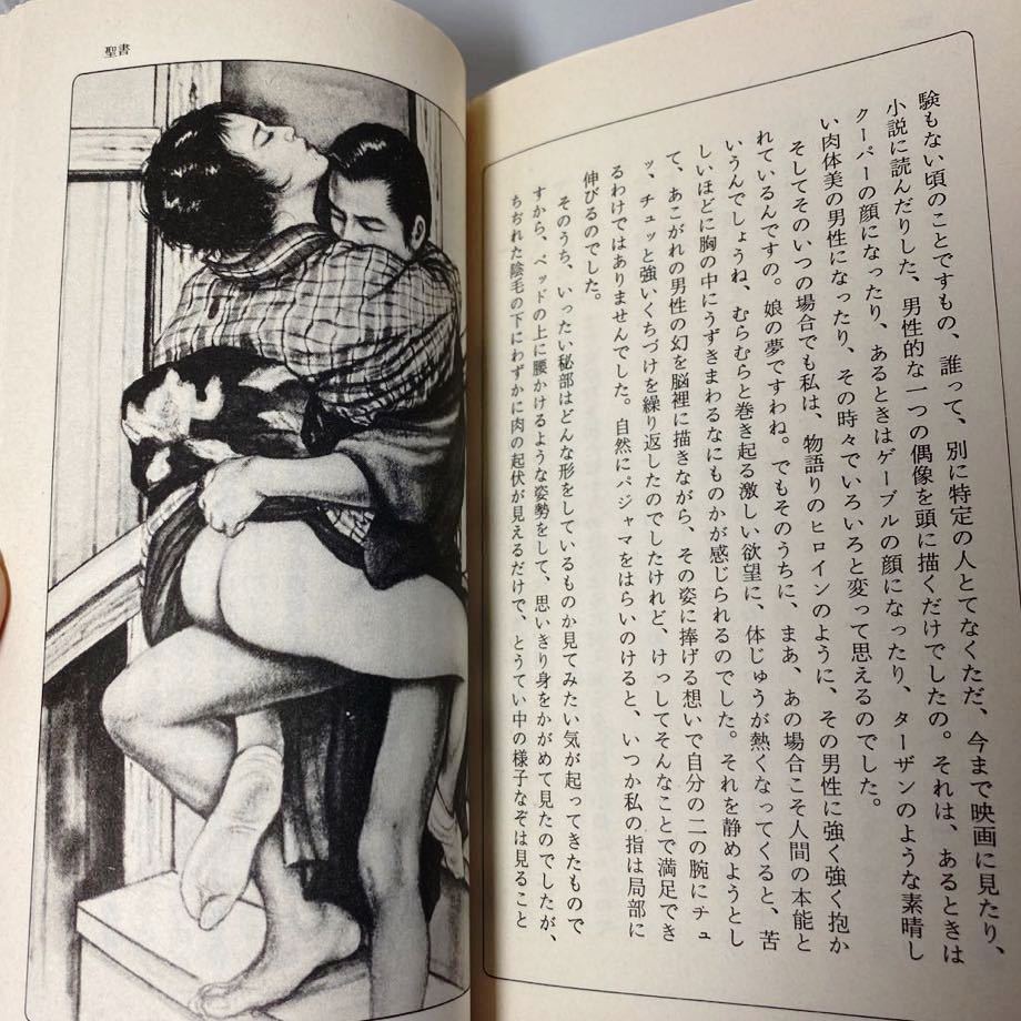 バイオレンスな宴 - 館淳一 - 官能小説・無料試し読みなら、電子書籍・コミックストア