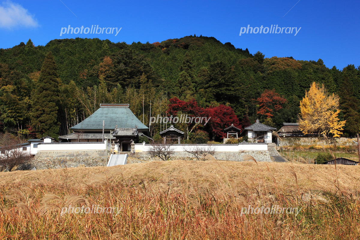 初冬の八塔寺ふるさと村の風景5 岡山県備前市吉永町の写真素材 [106470153]