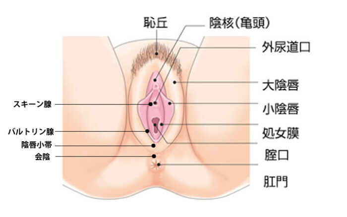 アメリカンガールと日本人娘が濃厚レズSEX♪ ｜ マニアックch×mpo.jp ｜ スマホでエロ動画