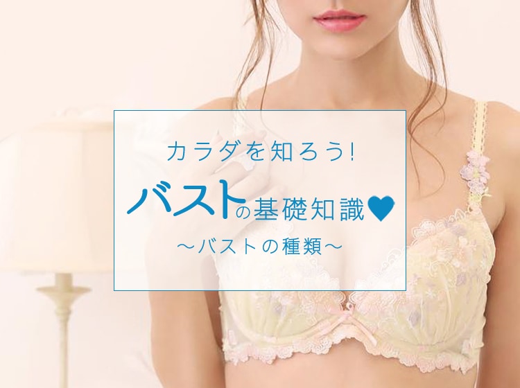 釣鐘型 – 着用する乳房再建「 バストデザインツインセット」のご案内