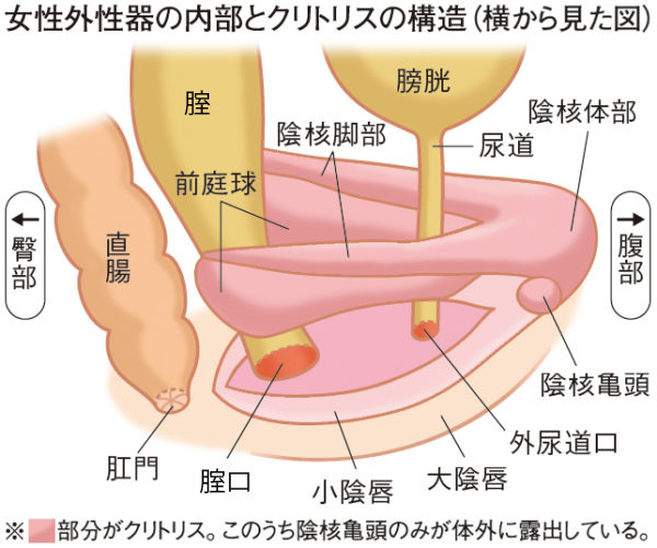 ペニスをクリトリスにこすりつけ、マンコをクリームで覆う