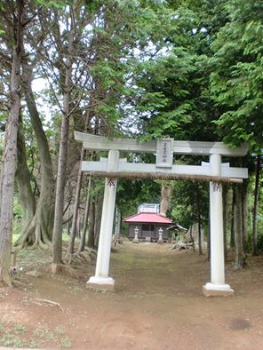 吉原・鹿島神社の御神木の火災／阿見町指定天然記念物 | 海野隆ーひと・まち・くらし・しぜん通信