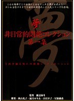 Amazon.co.jp: 非日常的悶絶遊戯 ファッションメーカーの営業社員、保奈美の場合