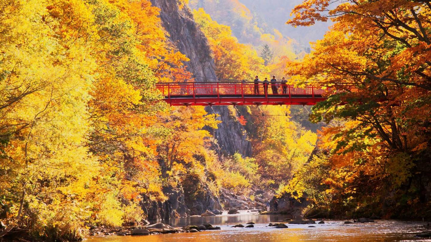 2021最新】絶景！北海道の紅葉スポットおすすめ6選｜見頃は10月上旬～下旬 | NAVITIME