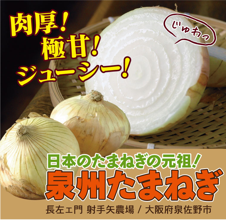 先行予約】肉厚！大阪泉州新玉ねぎ10kg - 大阪府貝塚市｜ふるさとチョイス