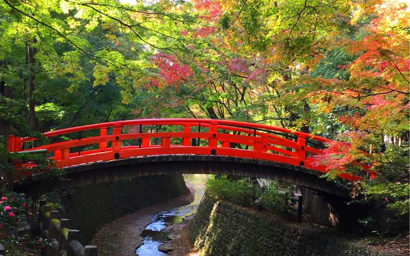 2021年11月初旬に訪れた軽井沢の旅行記・紅葉 | 旅は無限