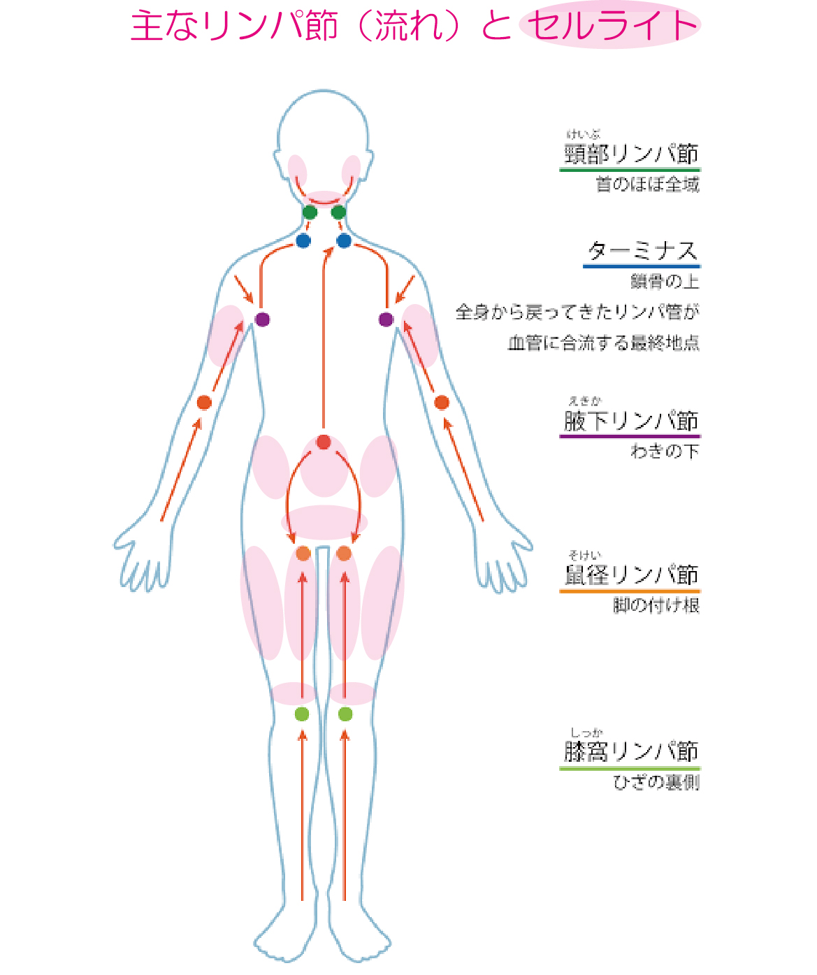 奈良県で口コミが評判のおすすめ整体9選!骨盤矯正や肩こり・腰痛の施術も受けられる!土日祝日営業も | からだキャンパス