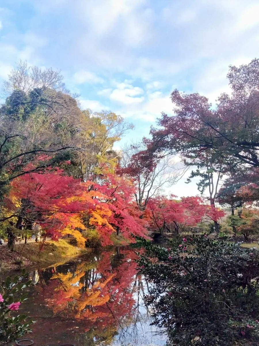 今日もどこかで野遊びを…:国内随一と呼ばれる裏磐梯の紅葉を愛でる秋キャンプ