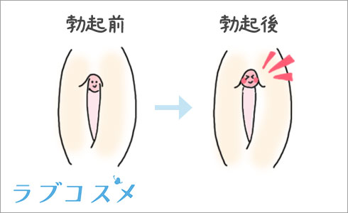 クリトリス勃起とは？勃つ理由とやり方 - 夜の保健室