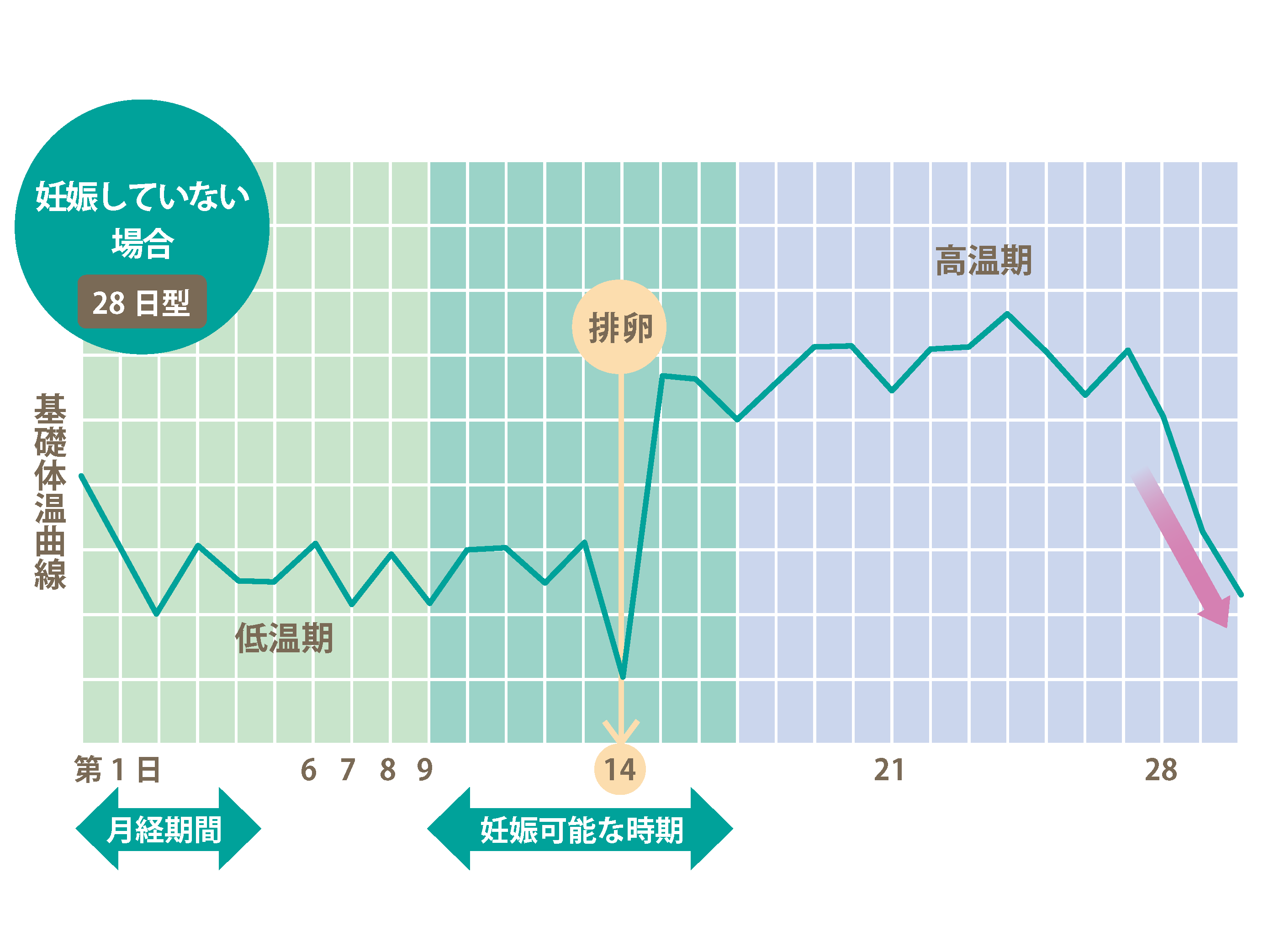 PMS（月経前症候群）とは？｜コニカミノルタ