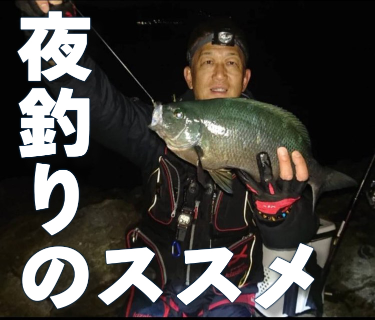 夜のフカセ釣り-磯での夜釣りのススメ - ウキのキザクラ