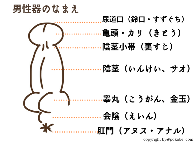 対面座位で快感を得る方法を伝授！女性が気持ちいい対面座位のやり方