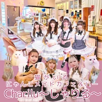 アイドルカフェ ドリームガールズ コンカフェ ガールズバー (@idolcafe_dreamgirls)