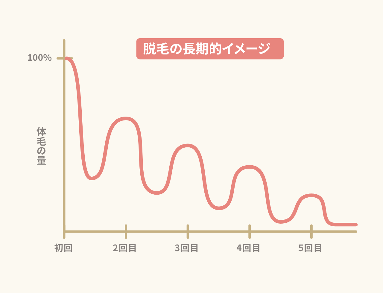 全身脱毛プラン｜医療脱毛専門のリゼクリニック