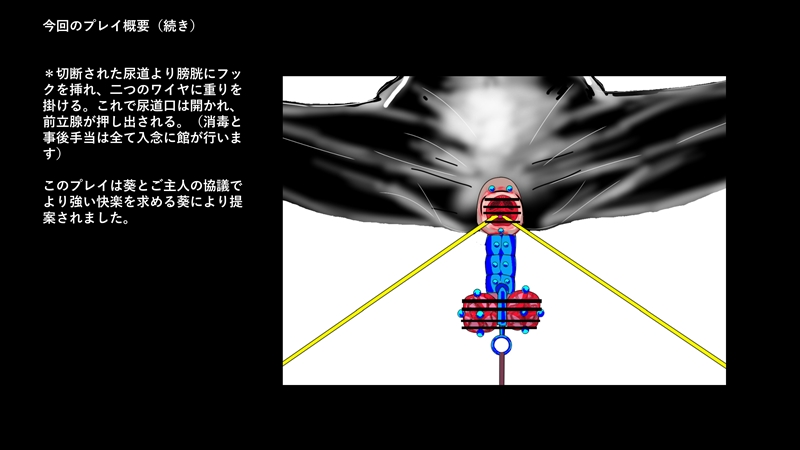 BL】ゆっくり、ぬぷぬぷ、深くまで…♡ 尿道責め特集 - DLチャンネル