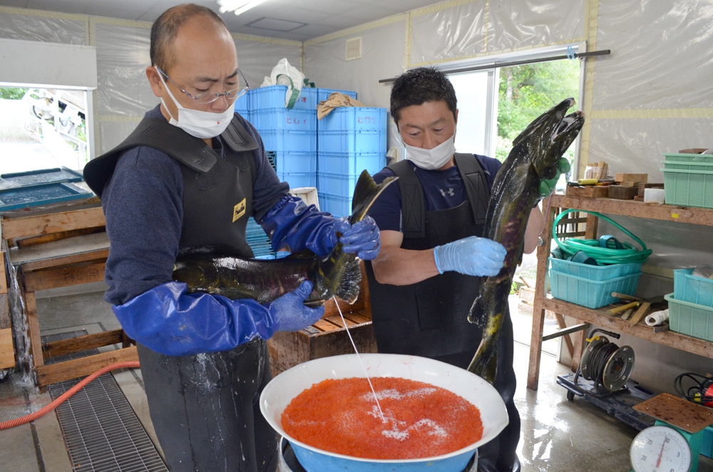 男が地下鉄内で女性の背後に密着して自慰 スカートに精子をかける――広東省広州市 -