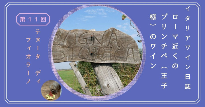 吉祥寺風土記｜野村ゼミ｜研究｜学際デザイン研究領域｜芸術環境専攻｜京都芸術大学 通信制大学院 芸術研究科