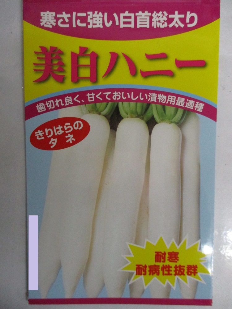 おくすりパクッとねるねる メロンソーダ味＆イチゴ味 （２種×３袋）