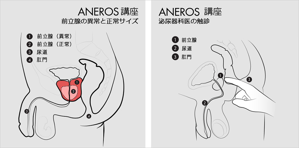 男のローションオナニー完全ガイド｜やり方・さらに快感を高めるコツ・代用品までご紹介！｜駅ちか！風俗雑記帳