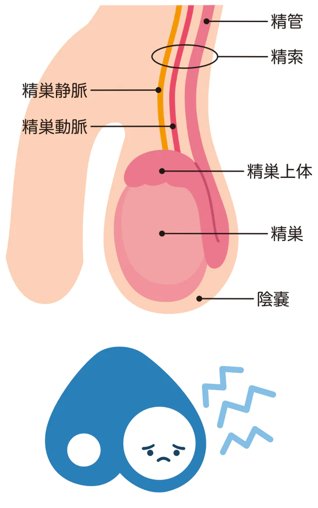 パンツに茶色いしみが……これってまさか？│アンファーからだエイジング【専門ドクター監修】