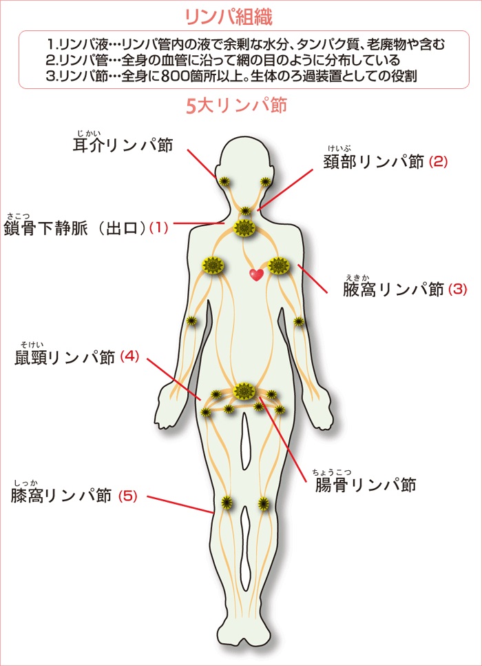 全身リンパマッサージ１回でのオールハンドの効果です ※1回での効果は個人差があります 