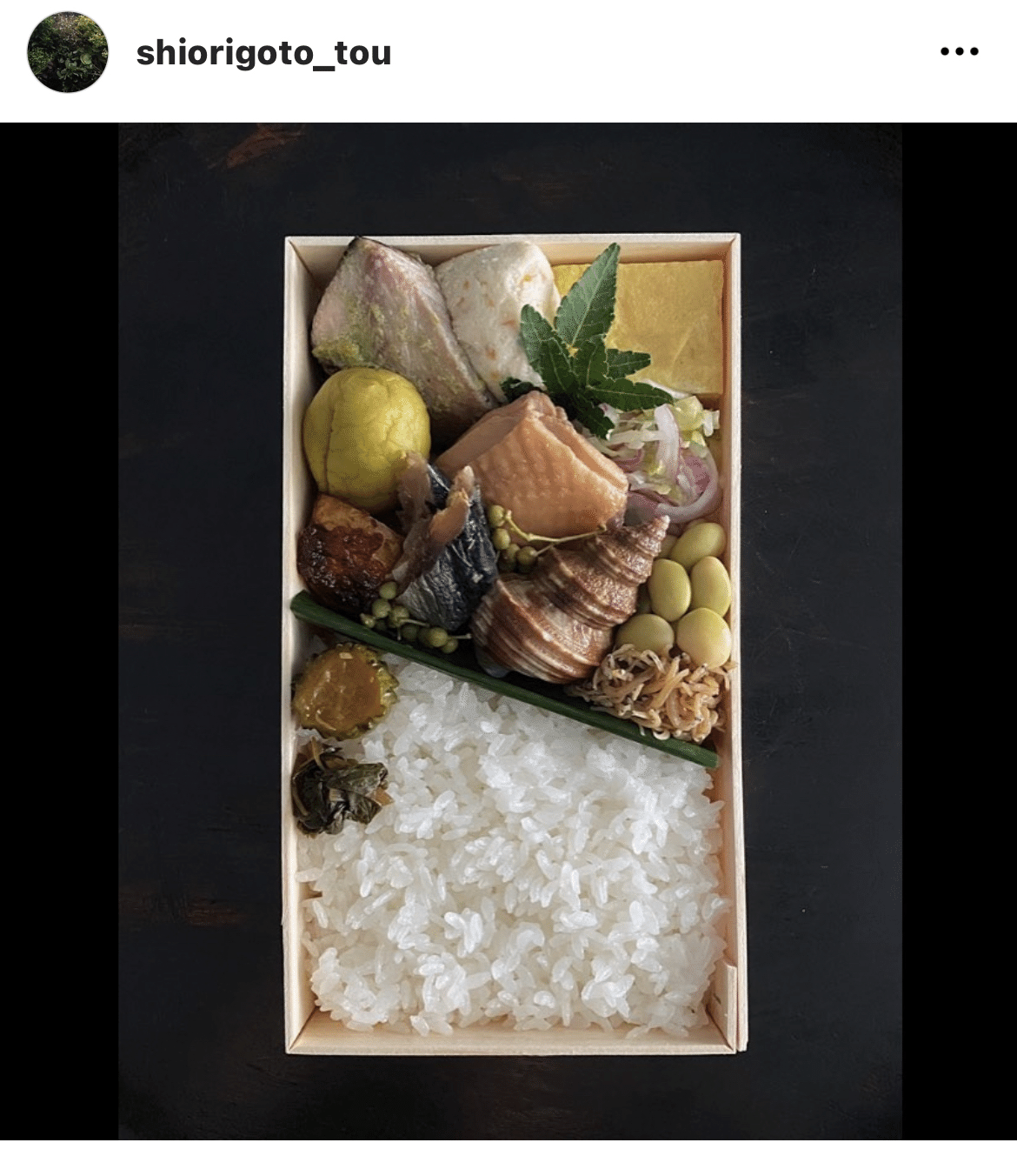 後藤しおりさんのインスタグラム写真 - (後藤しおりInstagram)「山椒尽くしのお弁当。」6