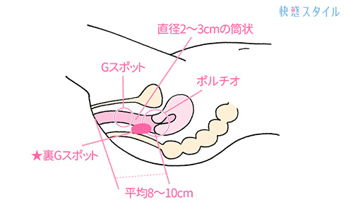 アナニー GIF！痴態を晒す女性達 | エロ画像エロ寺 -