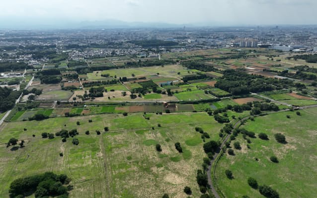 #神奈川#川崎#琉金#出目金#かわいい #可愛い #優雅