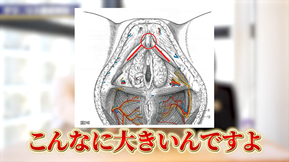 ペットになるまで終わらないクリ責め - 同人誌