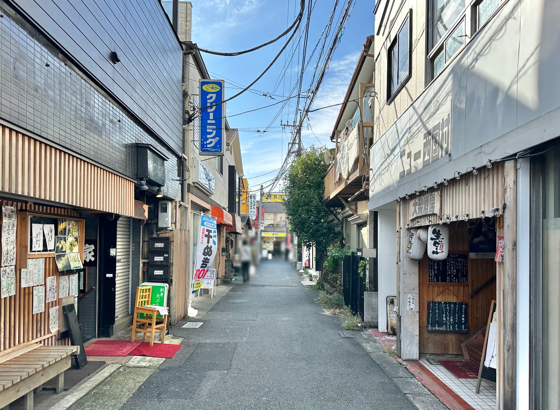 信濃国分寺のハス・安曇野室山池のスイレン・木崎湖のスイレン - まきまきの写真集goo