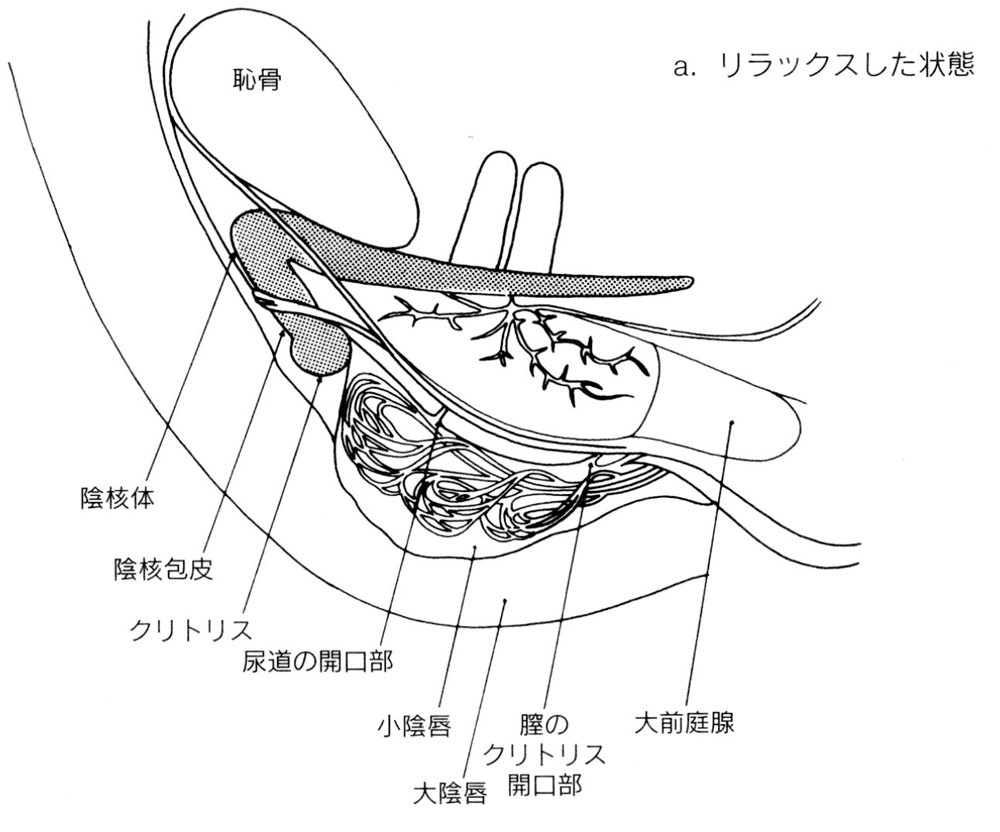 バイブ・ローター・電マの違いや種類|おすすめの使い方 | 【きもイク】気持ちよくイクカラダ