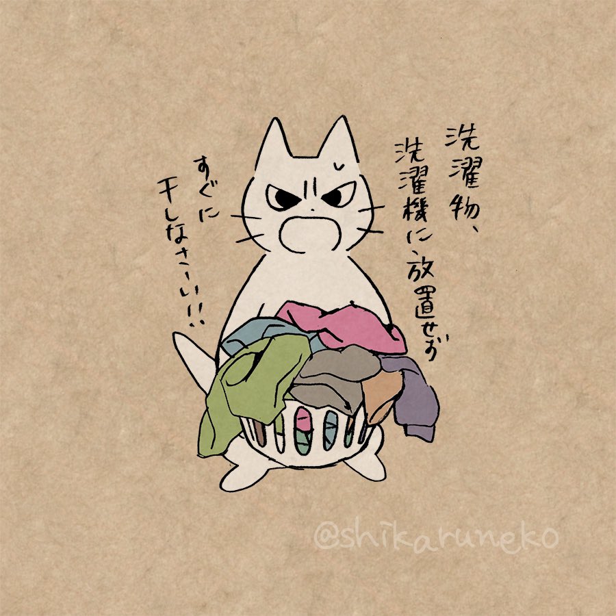 しこるねこ | LINEスタンプ |