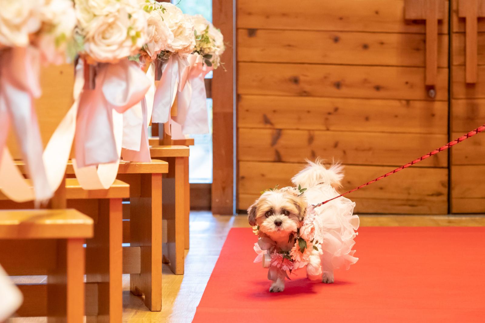 プリティチャペル大宮店で結婚式 - みんなのウェディング