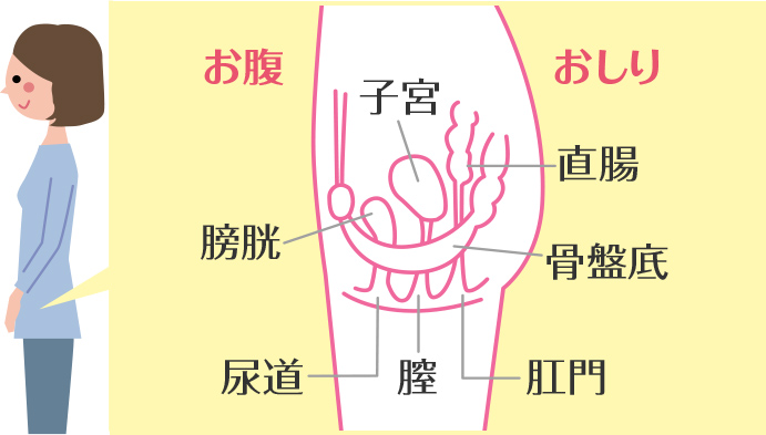 風俗店の聖水プレイとは？おしっこプレイ内容と魅力を注意点を紹介！｜風じゃマガジン