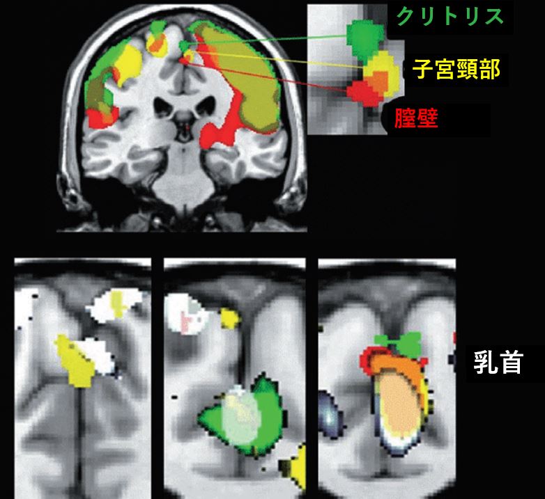 ホテル千扇