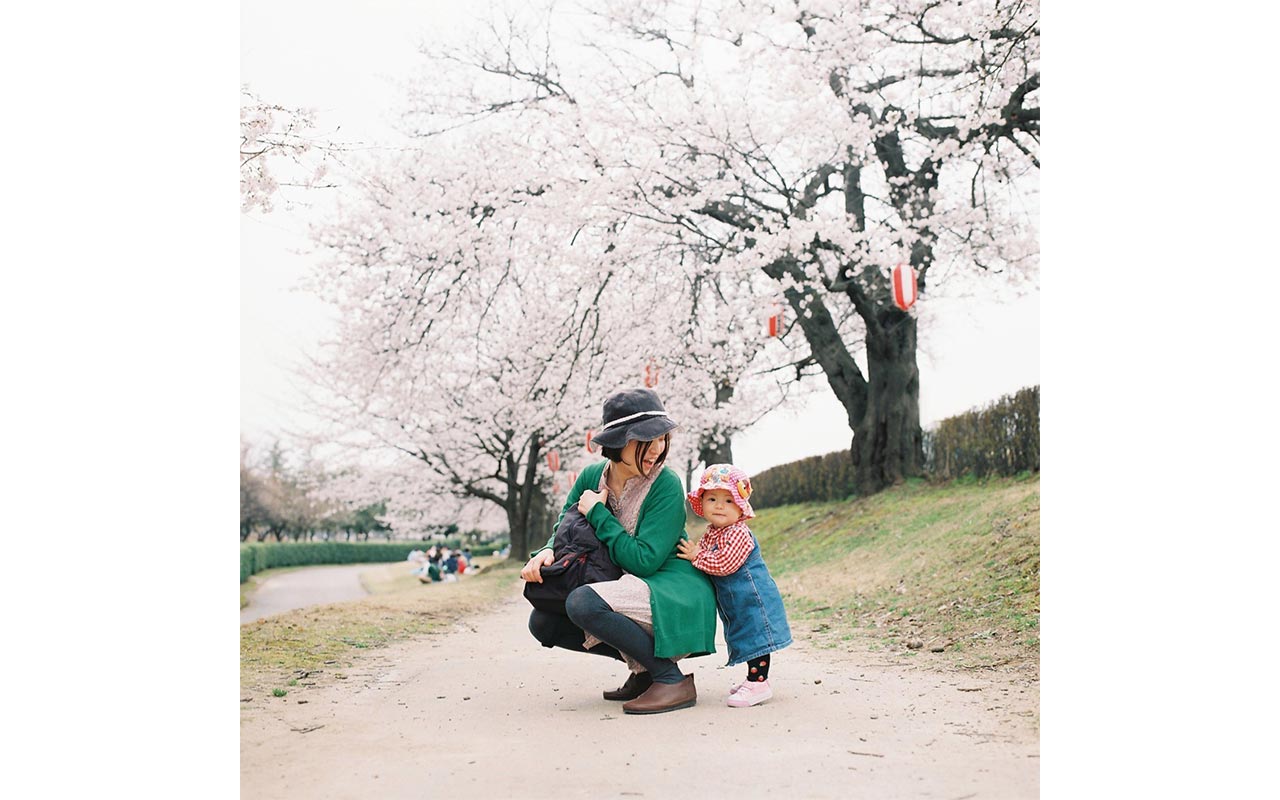 桃の花のピンクの絨毯｜佐藤仁美 人✖️モノ✖️自然を繋げるイベント企画運営 ５歳児自然育児真っ最中