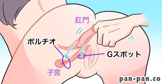 個撮】【アナル中出し】S気味のセフレの | アダルト動画 DUGA